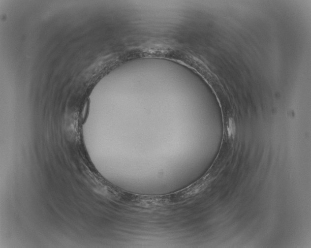 X0000081301396200701251706