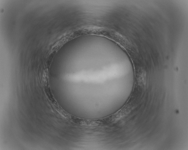 X0000081301397200701251706