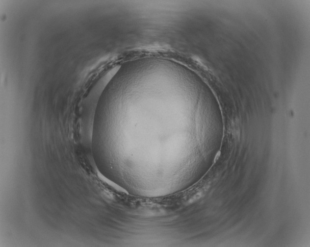 X0000081301398200701251706