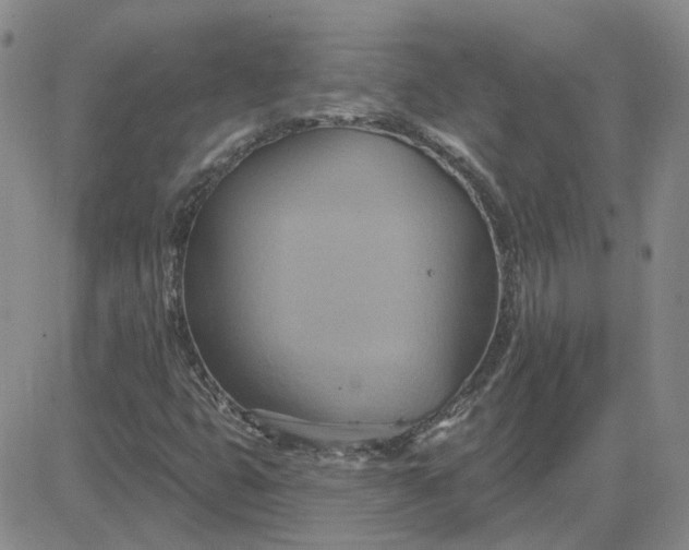 X0000081301399200701251706