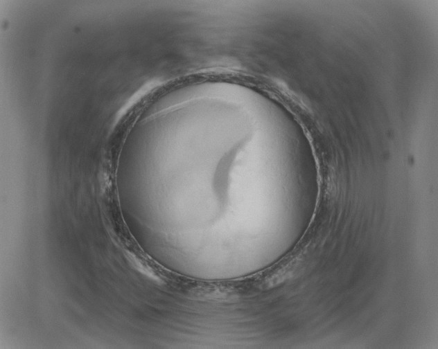 X0000081301400200701251706