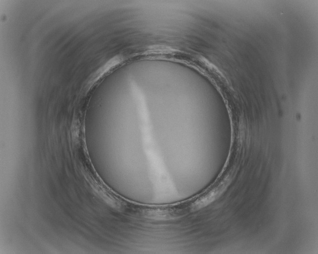 X0000081301401200701251706