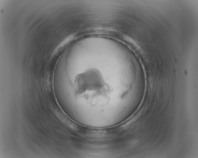 X0000081301403200701251706