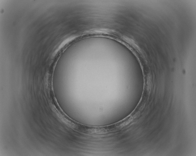 X0000081301404200701251706