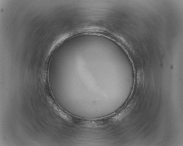 X0000081301405200701251706