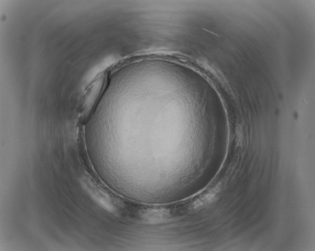 X0000081301406200701251706