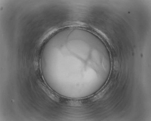 X0000081301407200701251706