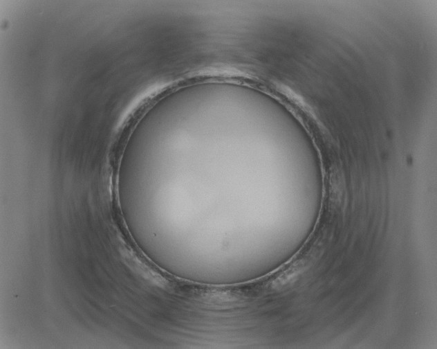 X0000081301408200701251706