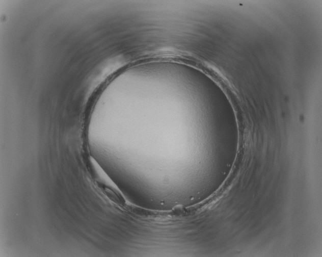 X0000081301410200701251706