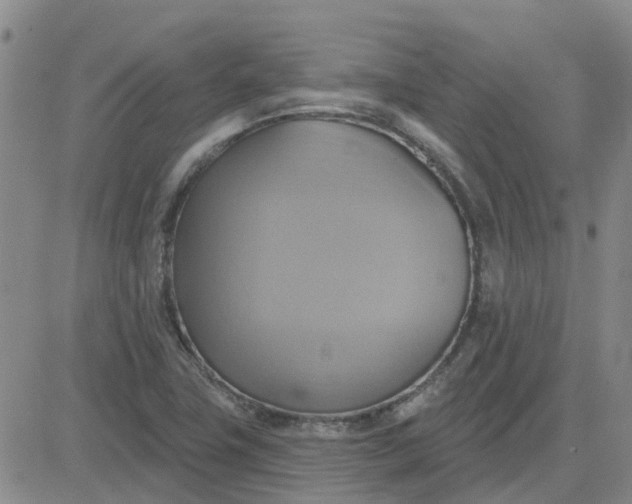 X0000081301411200701251706