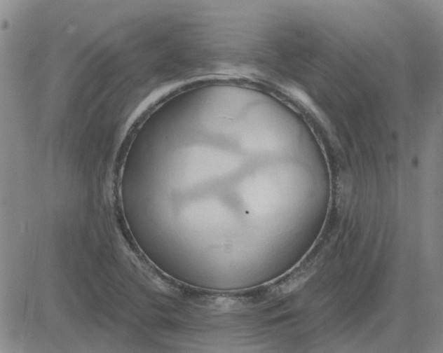 X0000081301412200701251706