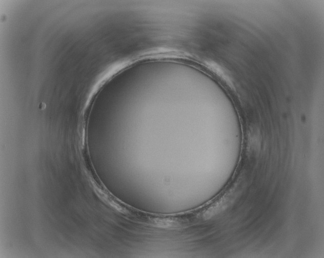 X0000081301413200701251706