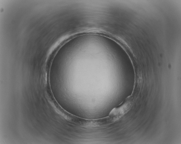 X0000081301414200701251706