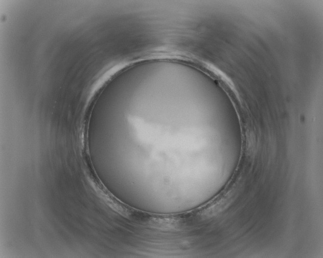 X0000081301415200701251706