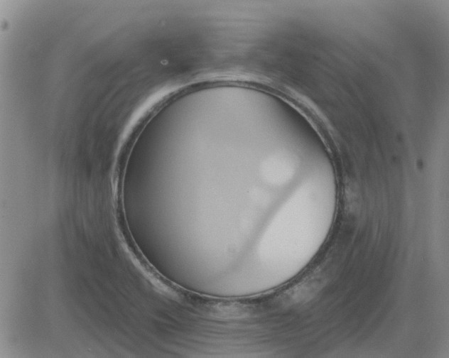 X0000081301416200701251706