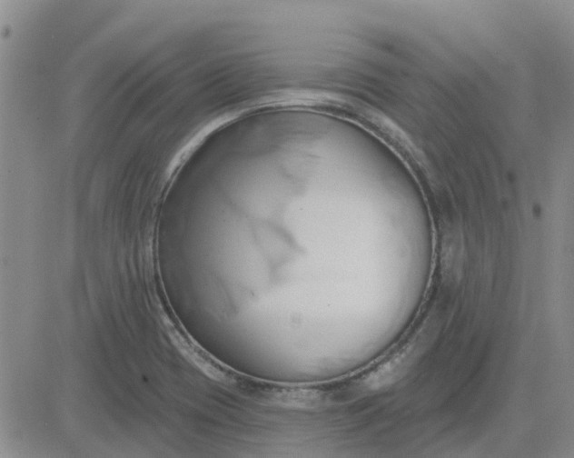 X0000081301417200701251706