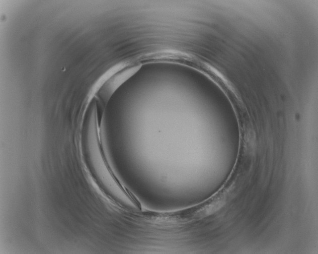 X0000081301418200701251706