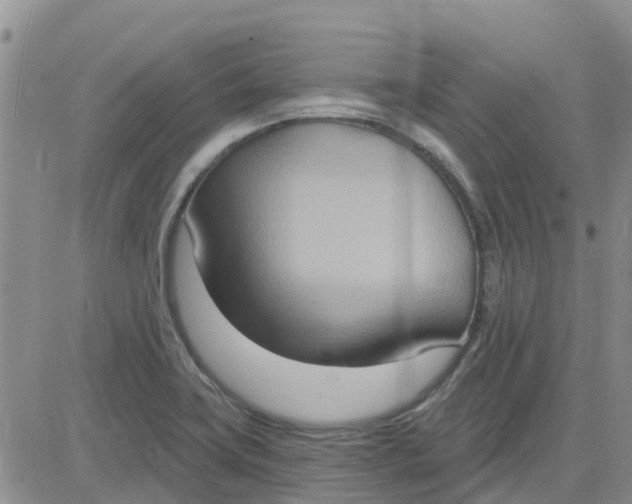 X0000081301419200701251706