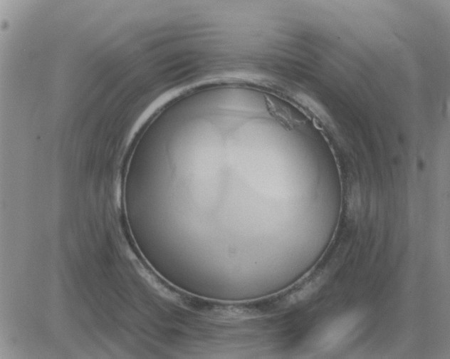 X0000081301420200701251706