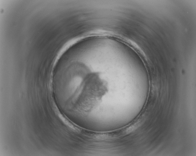 X0000081301421200701251706