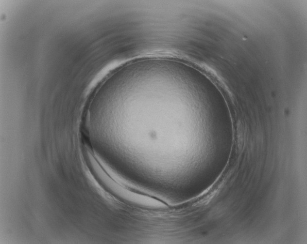 X0000081301422200701251706