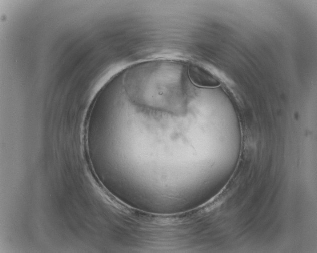 X0000081301423200701251706