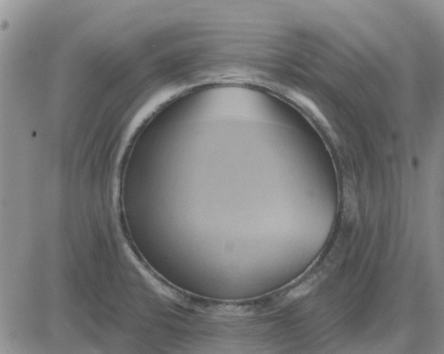 X0000081301424200701251706