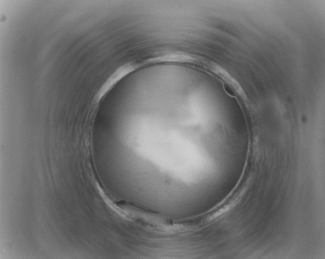 X0000081301425200701251706