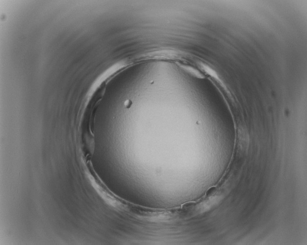 X0000081301426200701251707