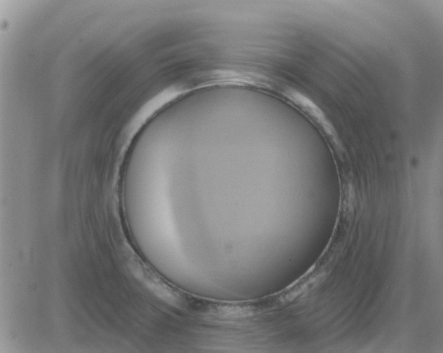 X0000081301427200701251707