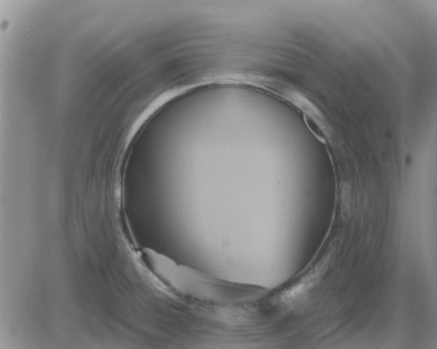 X0000081301428200701251707