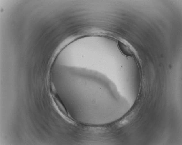 X0000081301429200701251707