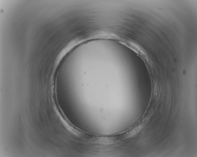 X0000081301430200701251707