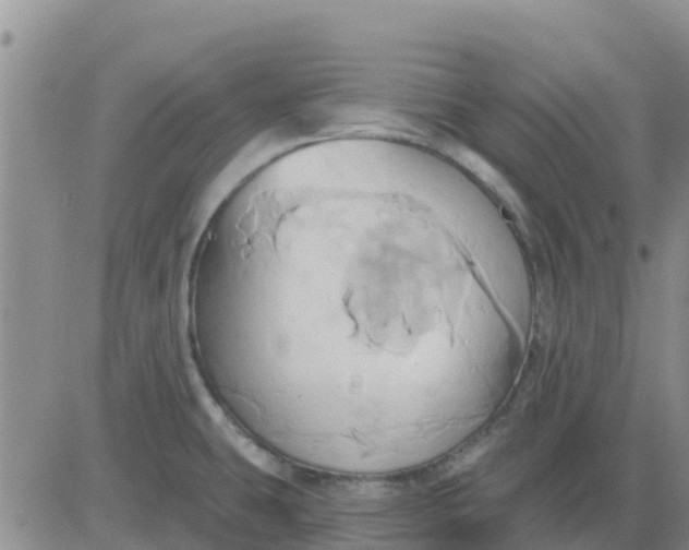 X0000081301431200701251707