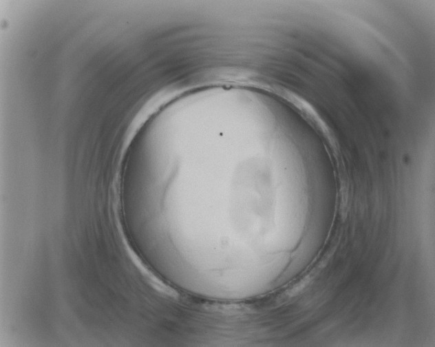 X0000081301432200701251707