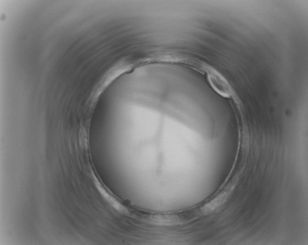 X0000081301433200701251707