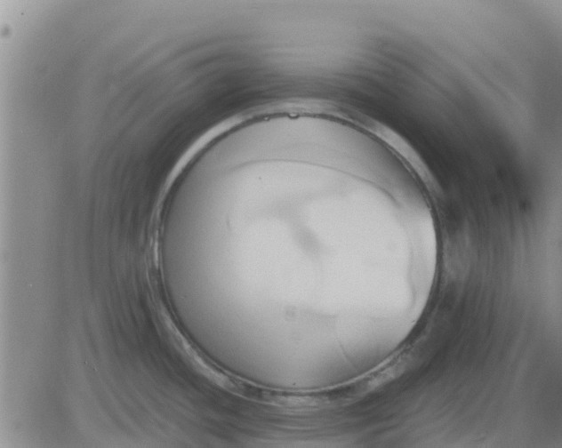 X0000081301436200701251707