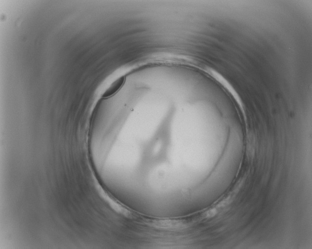 X0000081301437200701251707