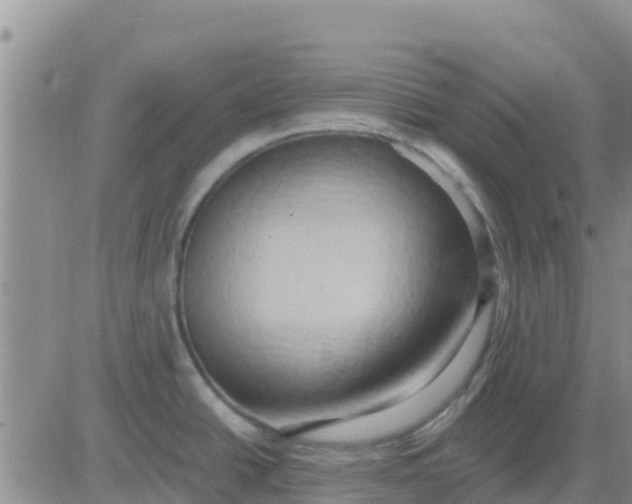 X0000081301438200701251707