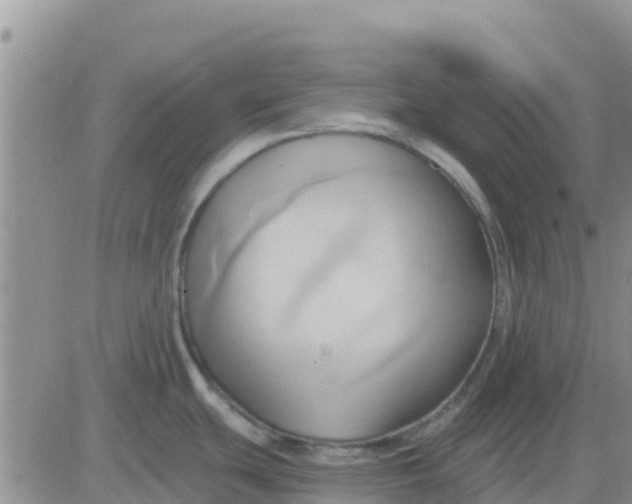 X0000081301439200701251707