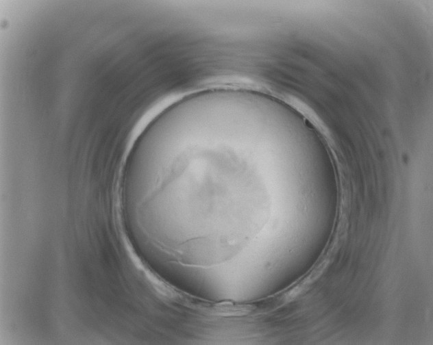 X0000081301440200701251707