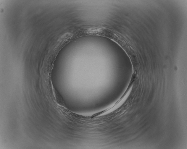 X0000081301441200701251706