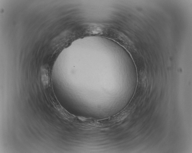 X0000081301442200701251706