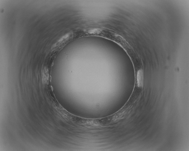 X0000081301443200701251706