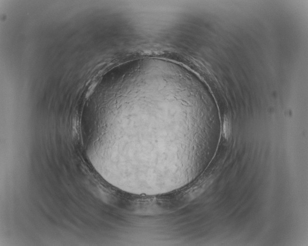 X0000081301444200701251706