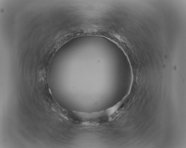 X0000081301445200701251706