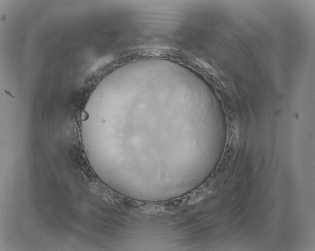 X0000081301446200701251706