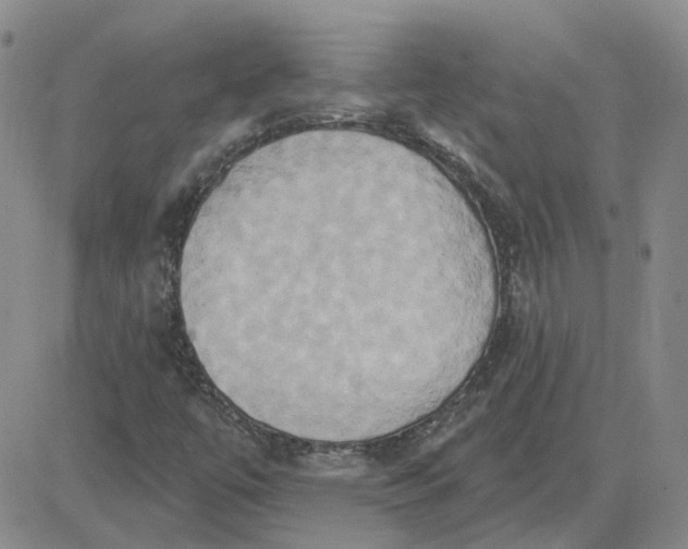 X0000081301447200701251706