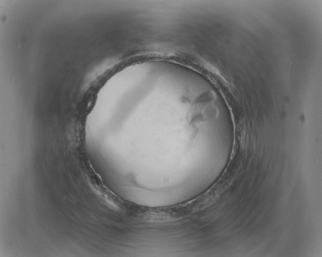 X0000081301448200701251706