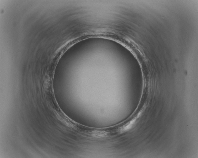 X0000081301449200701251706